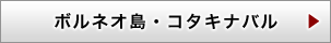 ボルネオ島・コタキナバル