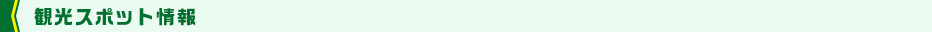 観光スポット情報