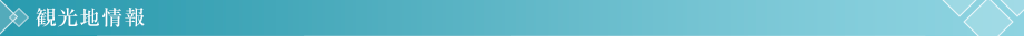 観光地情報