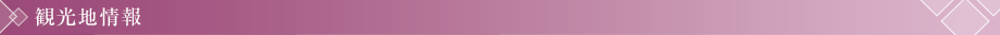 観光地情報