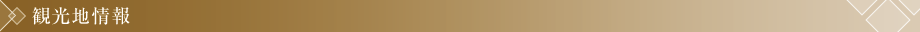 観光地情報