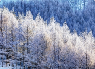 霧ヶ峰の霧氷（長野県）