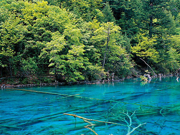 世界遺産 中国観光ガイド 阪急交通社