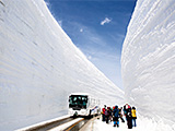 そびえ立つ白い壁！迫力の雪の大谷ウォーク