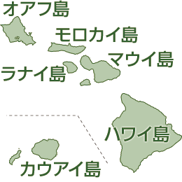 ハワイ観光ガイド 人気の観光スポット ベスト7 阪急交通社