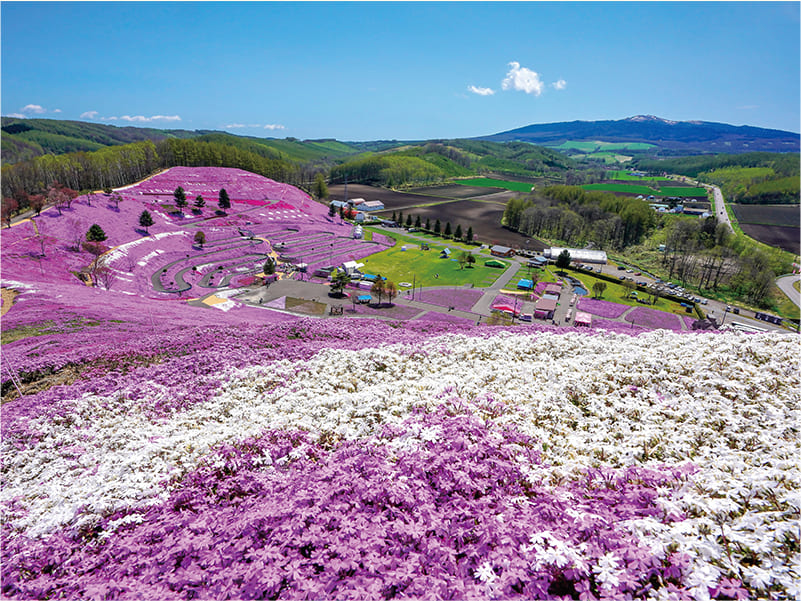 ひがしもこと芝桜公園