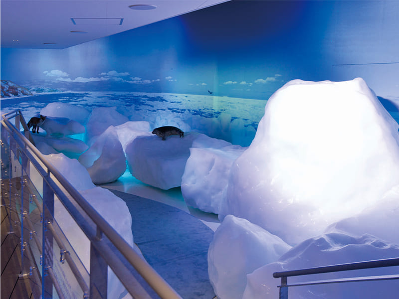 オホーツク流氷館