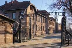 アウシュヴィッツ ビルケナウ ナチスドイツ強制収容所 ポーランド 世界遺産 阪急交通社