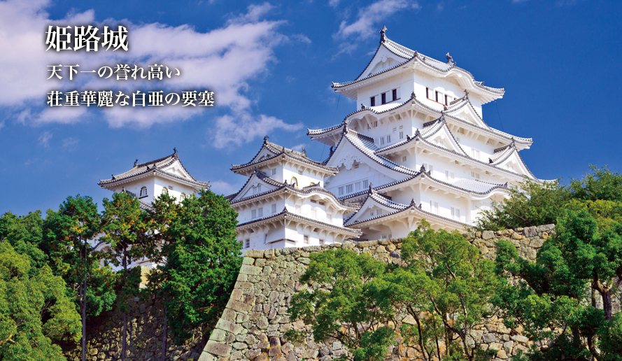 世界遺産を未来へ