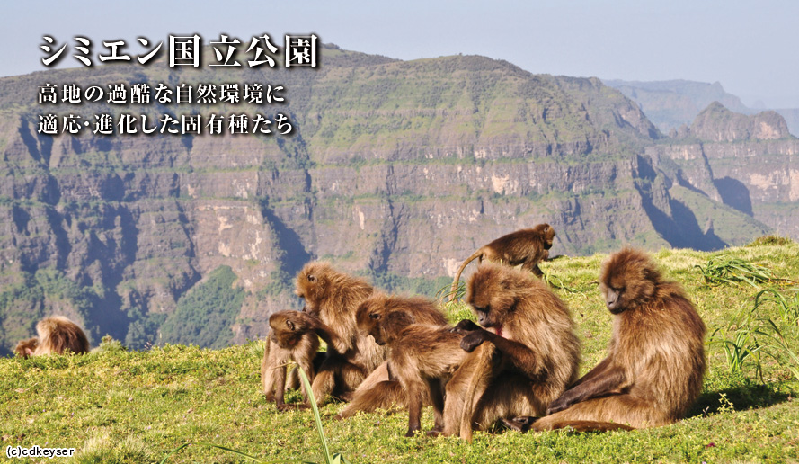 危機にある世界遺産