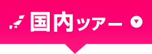 国内ツアー