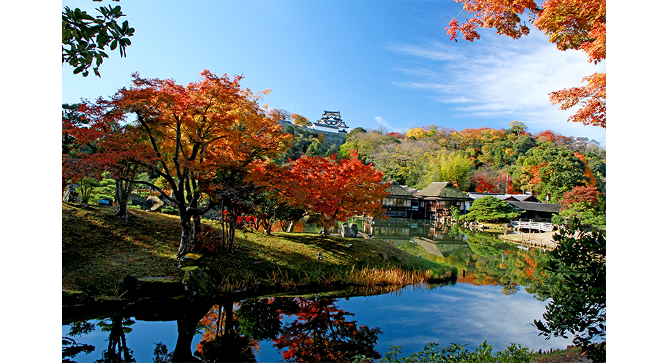 紅葉の玄宮園（彦根市）
