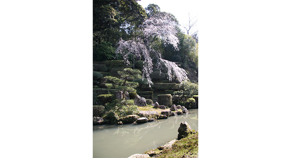 医光寺雪舟庭園