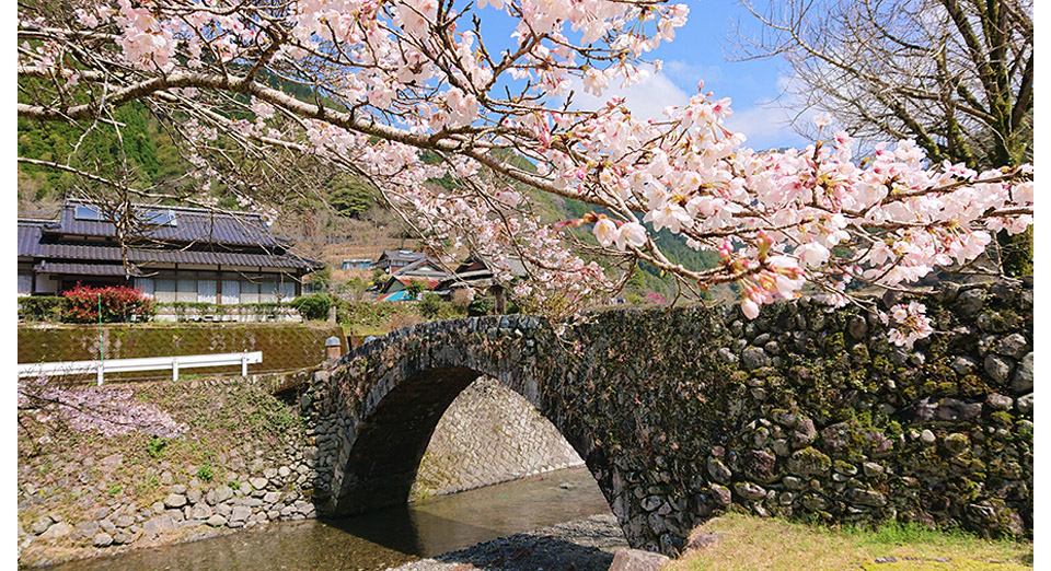 笠松橋(春)