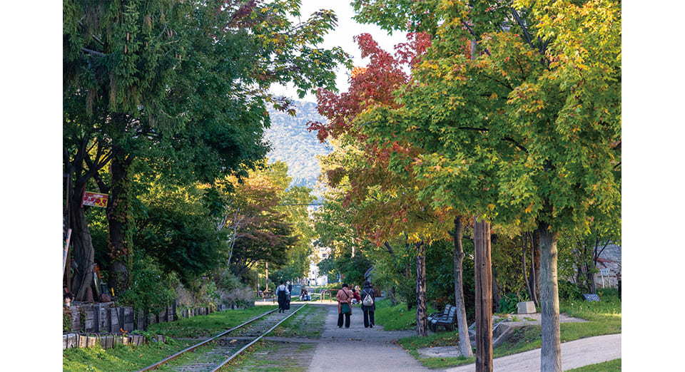 北海道最初の鉄路は、今は散策路に（旧手宮線散策路）