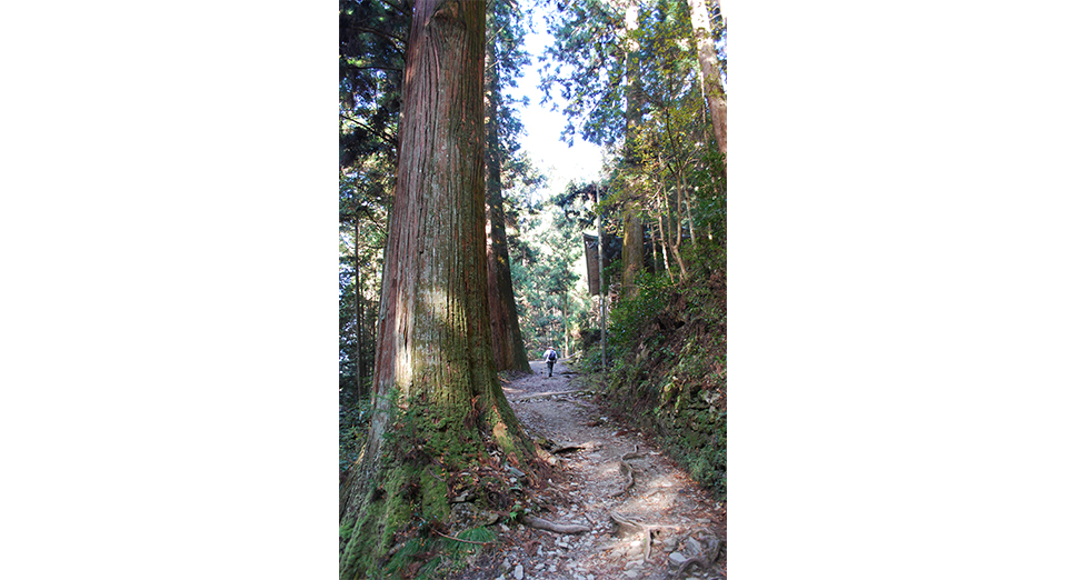 大寶寺参道（久万高原町）