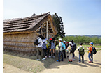 馬高遺跡復元竪穴住居
