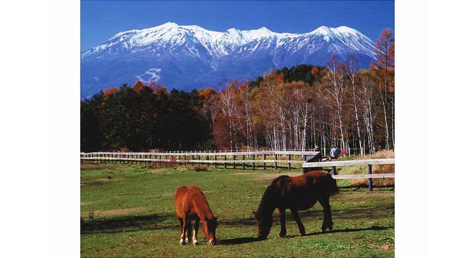 木曽馬と御嶽山