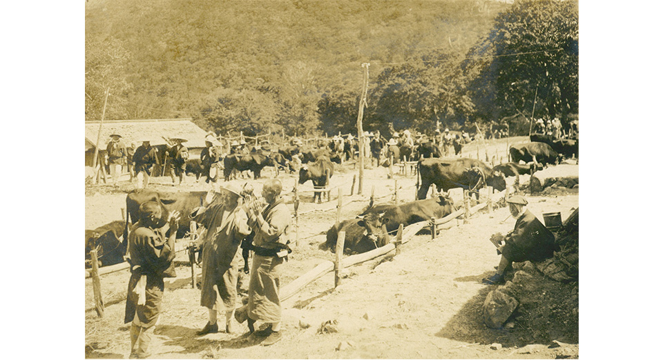 博労座（昭和6年）