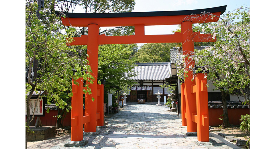 絶景の宝庫 和歌の浦 日本遺産ストーリーを訪ねる旅行 ツアー 阪急交通社