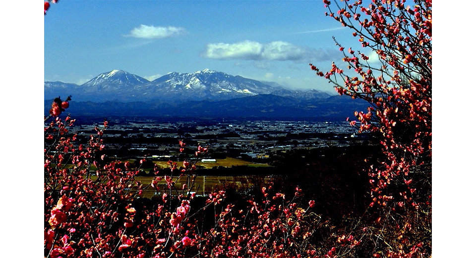 御亭山（こてやさん）緑地公園