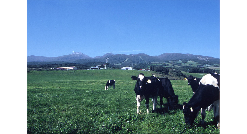 那須町共同利用模範牧場