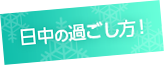 日中の過ごし方！