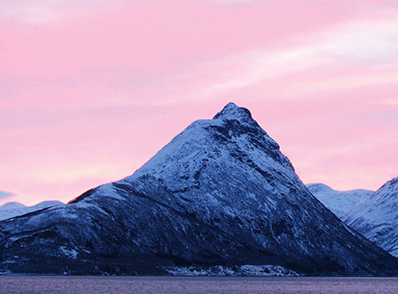 ポーラーナイト