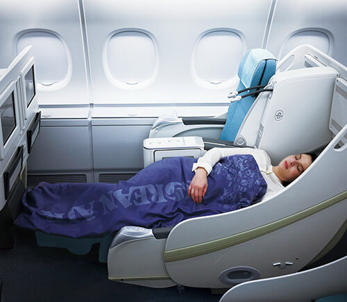 シート／イメージ