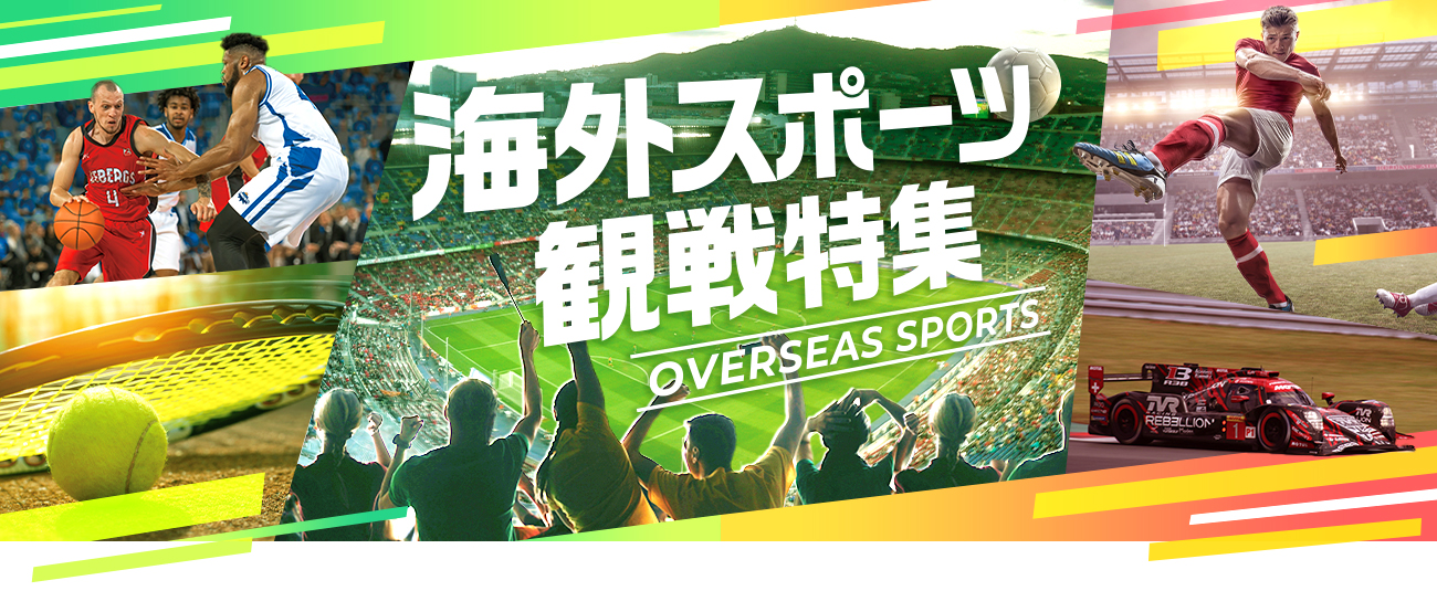 スポーツ観戦特集