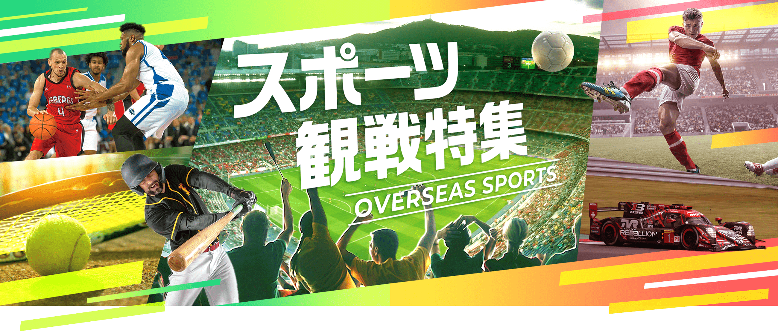 スポーツ観戦特集