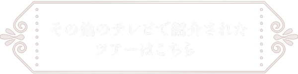 その他のテレビで紹介されたツアーはこちら