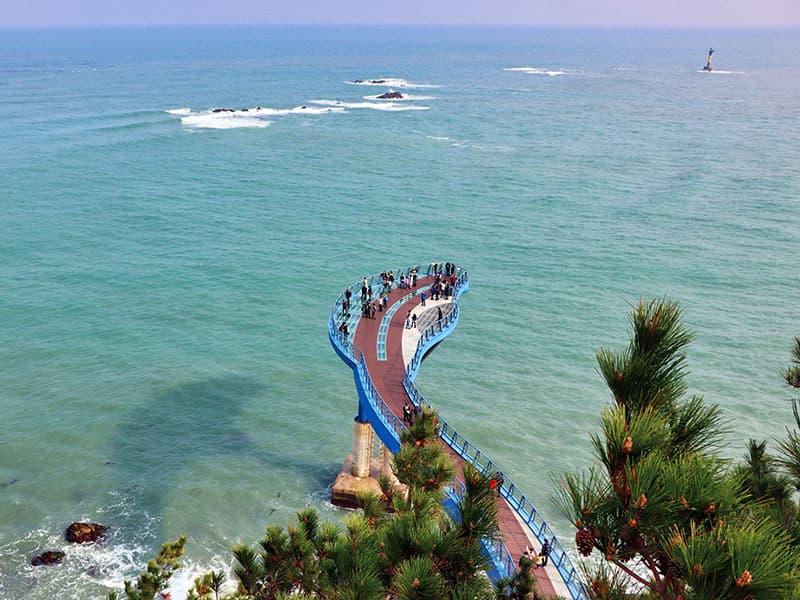 青沙浦タリットル展望台