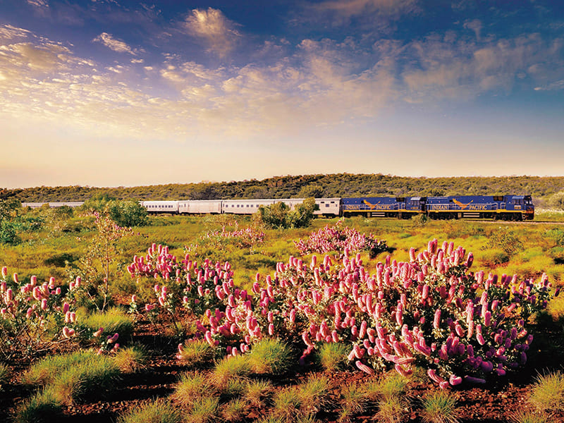 インディアンパシフィック