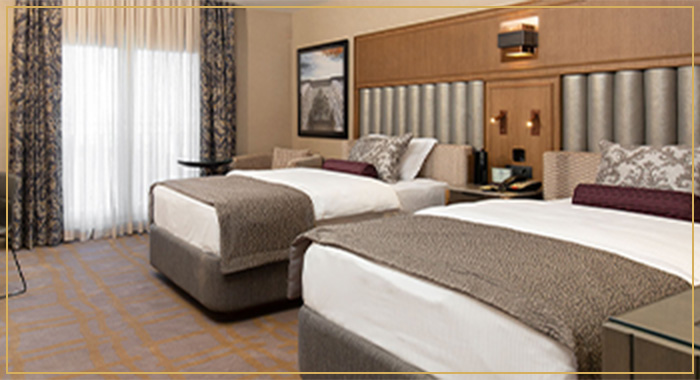 アルミラ 客室一例