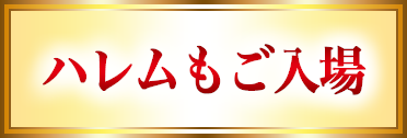 ハレムもご入場