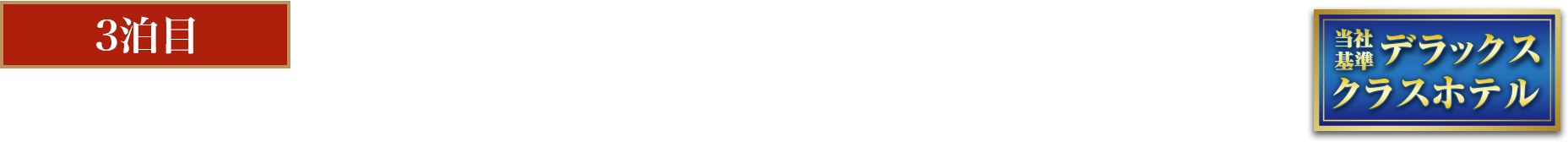 緑豊かな庭園に囲まれた温泉ホテル パム サーマル ホテル （指定）