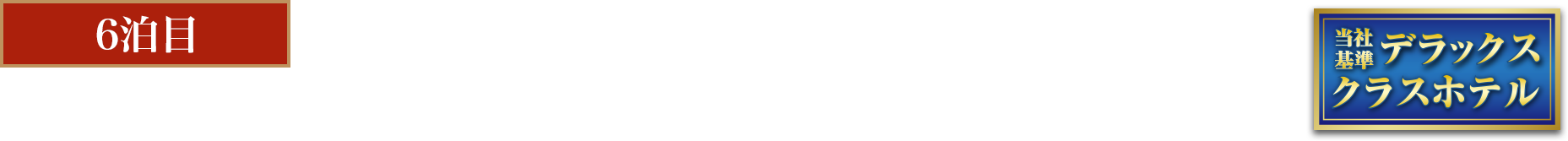 閑静なエリアに佇む世界的ブランドホテル ヒルトン・サ （指定）