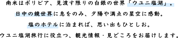 南米はボリビア、見渡す限りの白銀の世界「ウユニ塩湖」。日中の鏡世界に息をのみ、夕陽や満点の星空に感動。塩のホテルに泊まれば、思い出もひとしお。ウユニ塩湖旅行に役立つ、観光情報・見どころをお届けします。