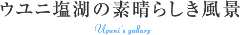 ウユニ塩湖の素晴らしき風