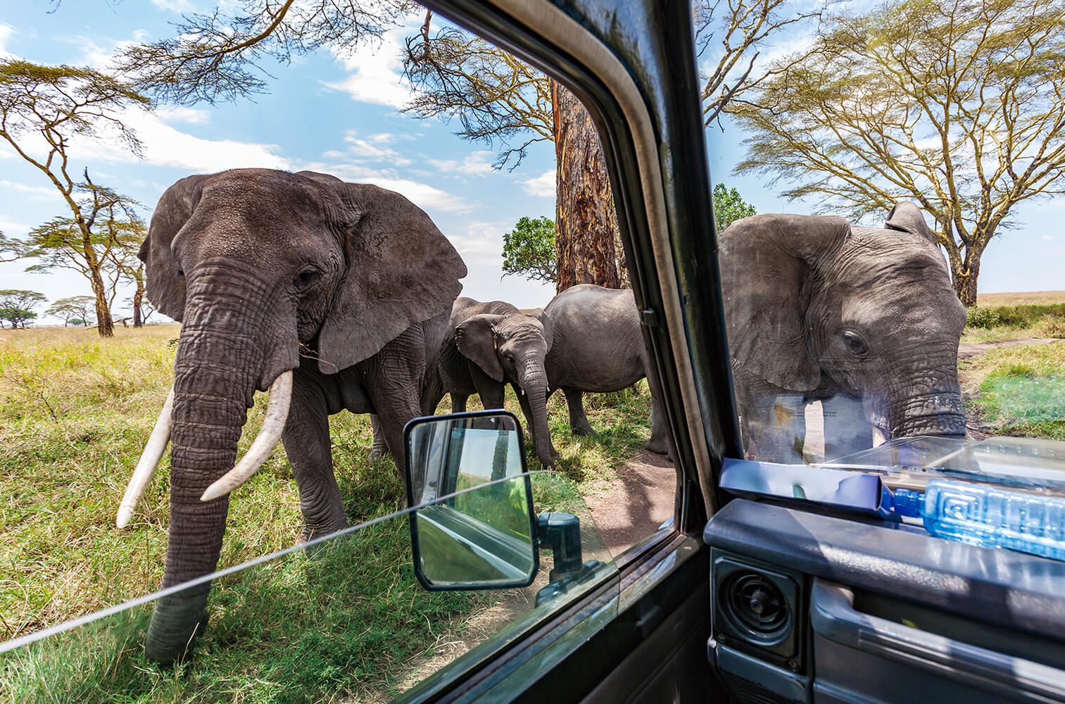 Serengeti National Park