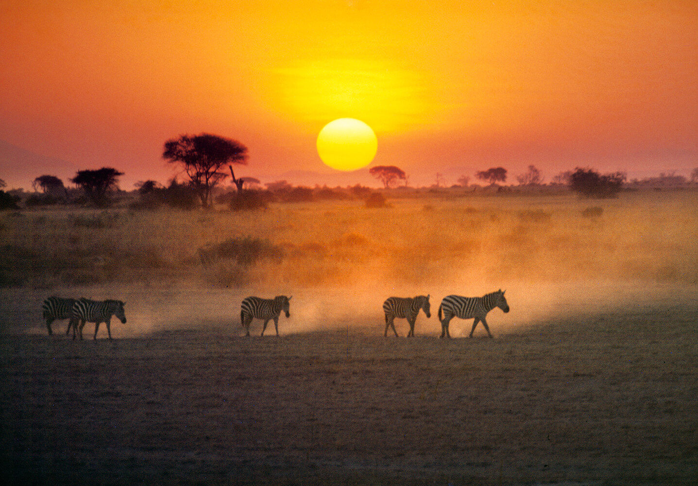 Amboseli National Park
