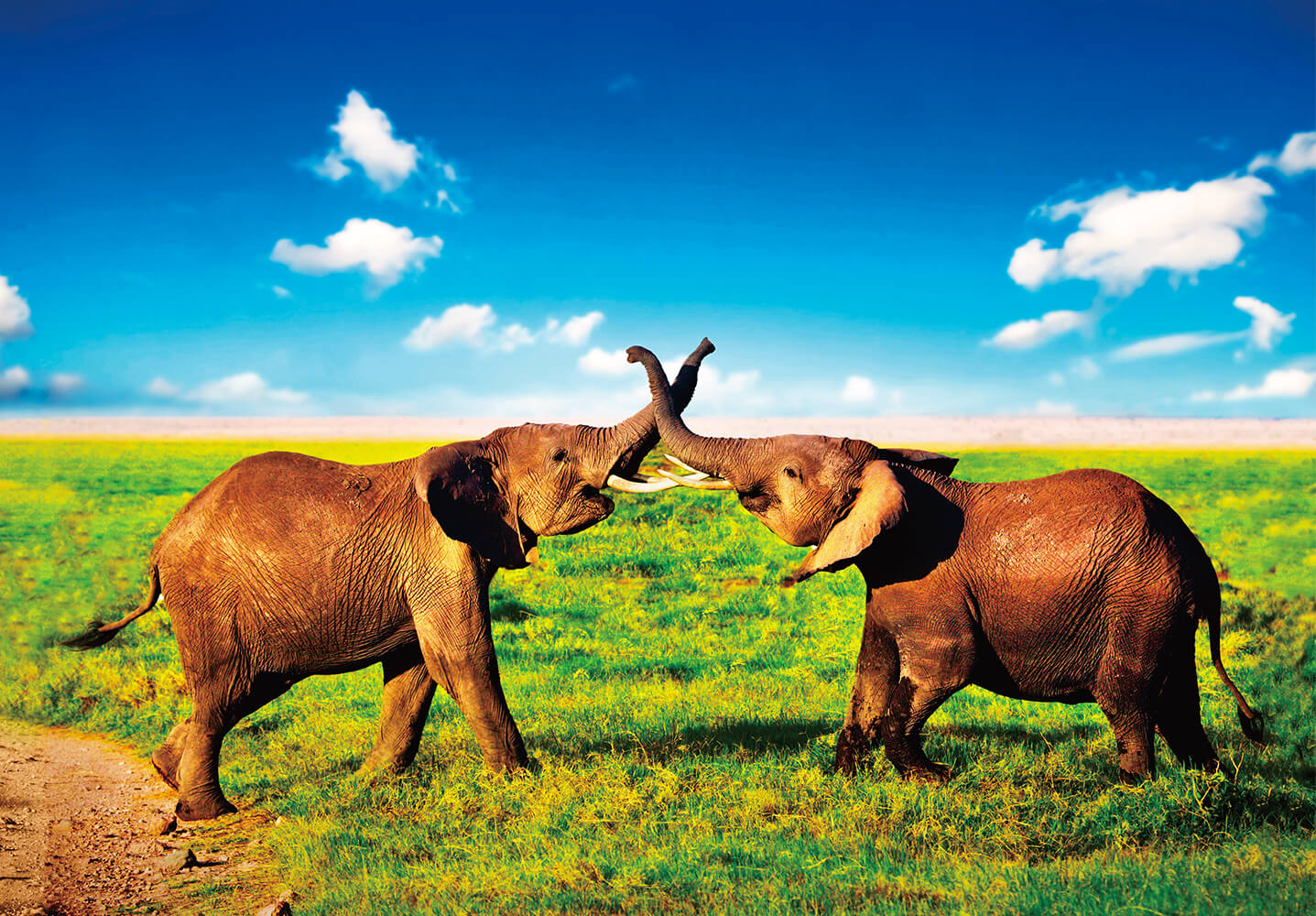 Amboseli National Park