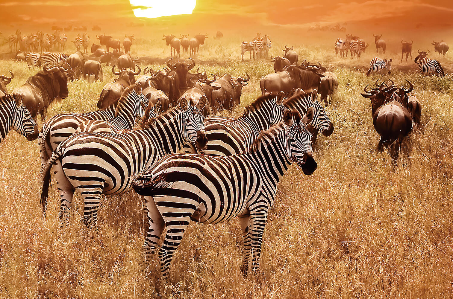 Serengeti National Park