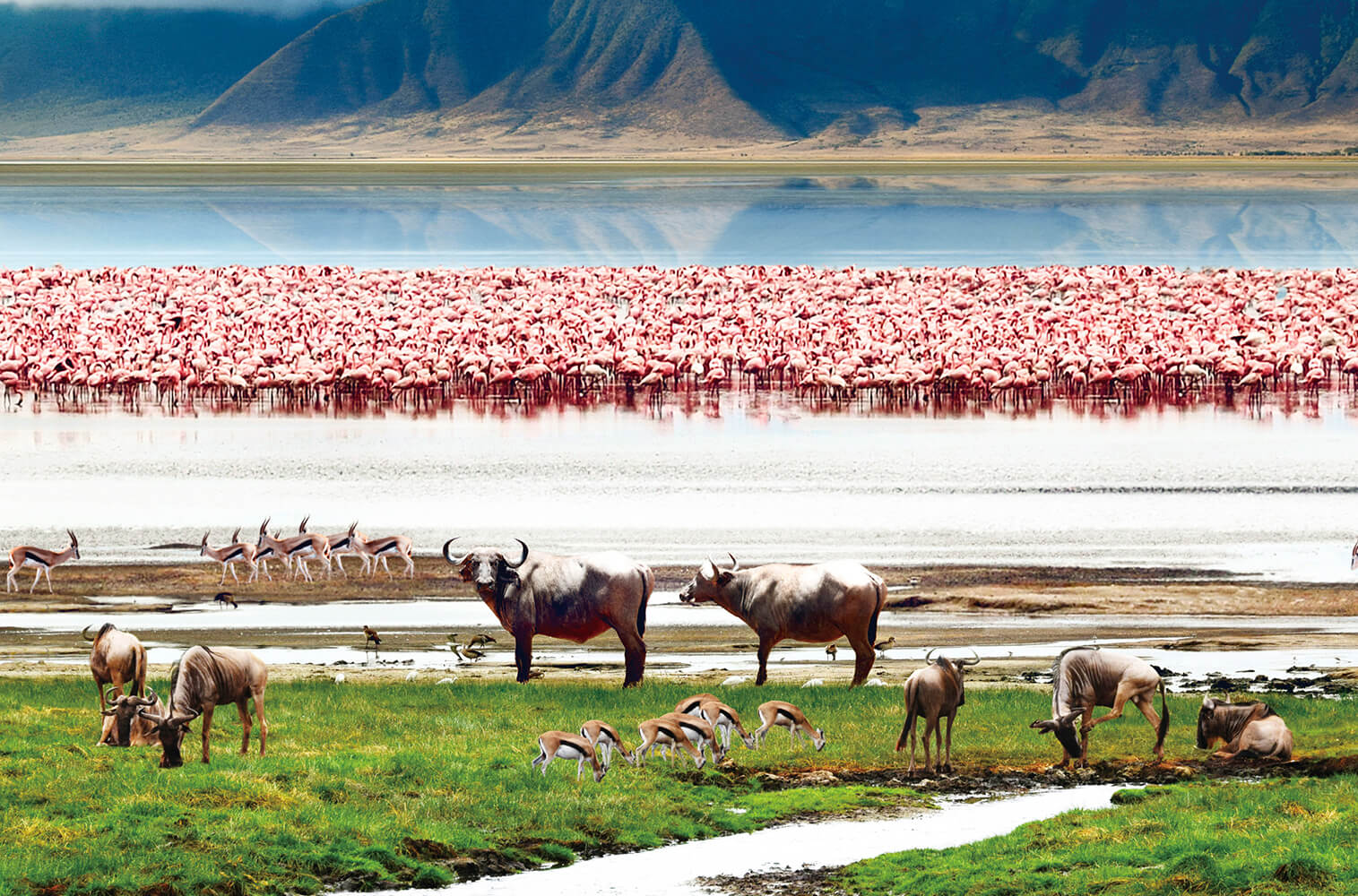 Ngorongoro Conservation Area
