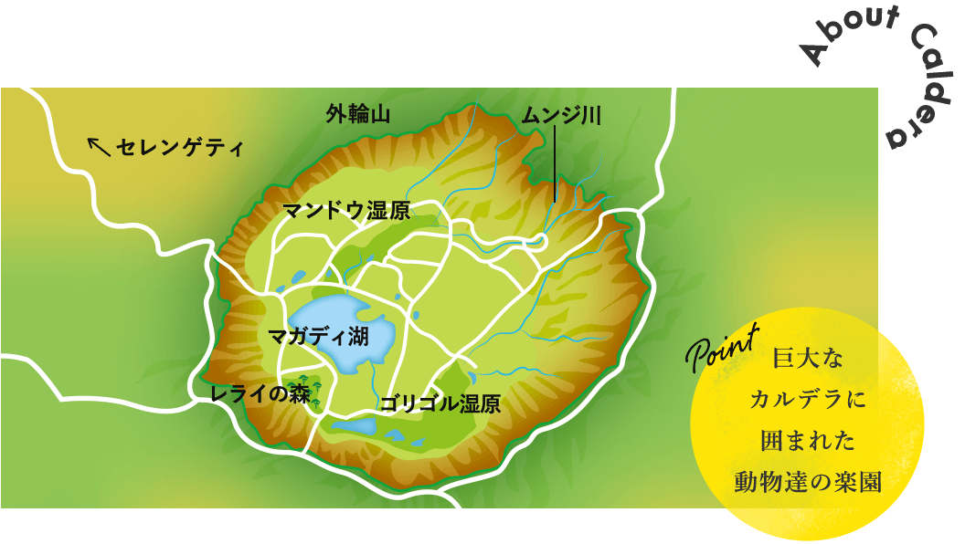 巨大なカルデラに囲まれた動物達の楽園