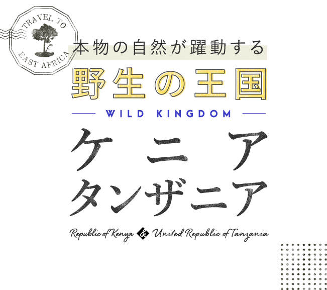 本物の自然が躍動する　野生の王国 ケニア・タンザニア