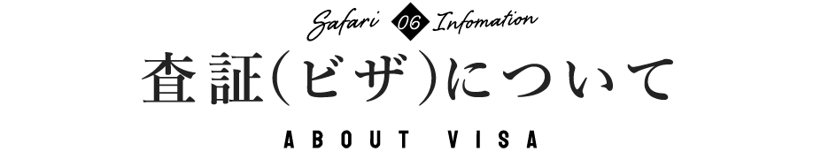 査証（ビザ）について