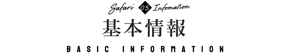 基本情報