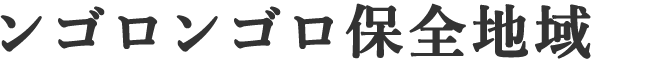 ンゴロンゴロ保全地域